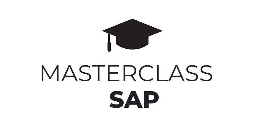 Master online del gestionale SAP ERP