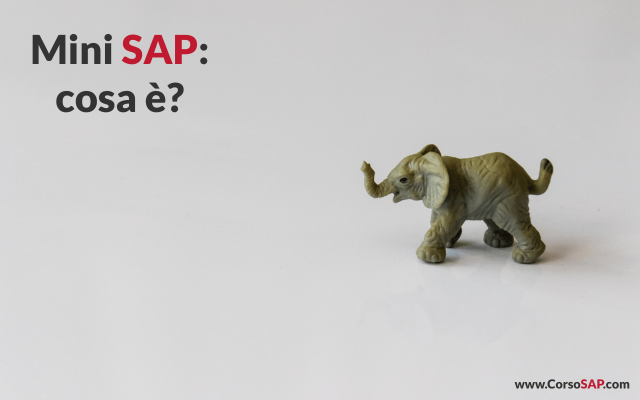 Mini SAP: di che cosa si tratta?