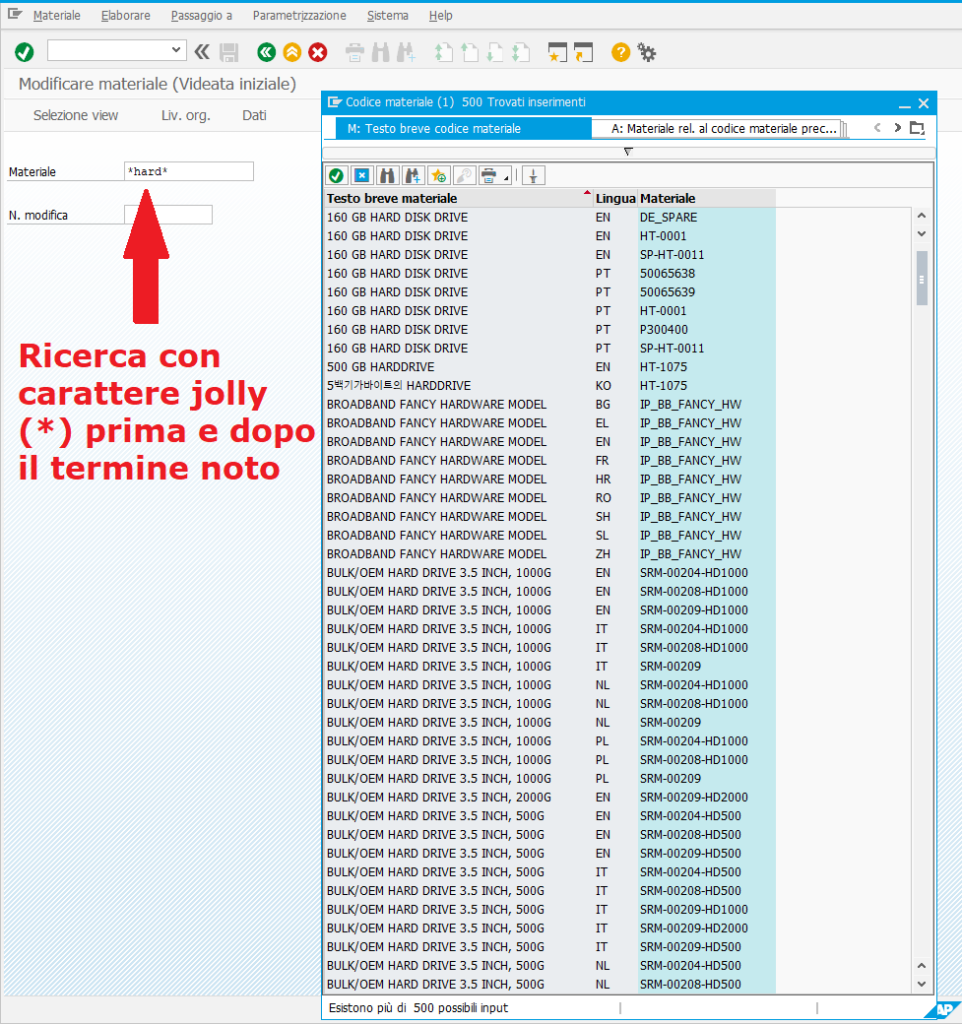 Esempio di ricerca in SAP