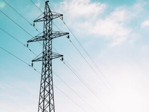 Corso online SAP ISU Industry Solution Utility