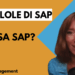 Chi usa SAP in azienda?
